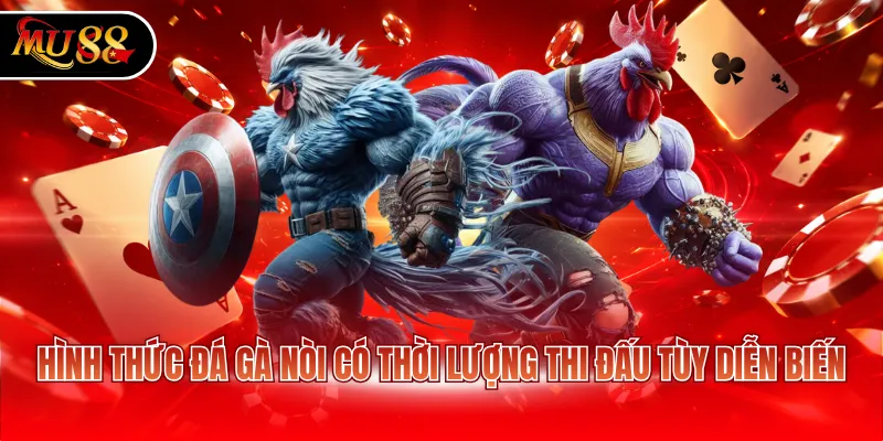 Hình thức đá gà nòi có thời lượng thi đấu tùy diễn biến