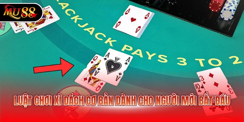 Luật chơi xì dách cơ bản dành cho người mới bắt đầu