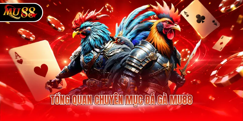 Tổng quan chuyên mục đá gà MU88