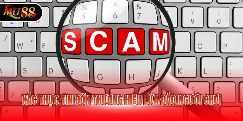 Xác thực tin đồn thương hiệu lừa đảo người chơi